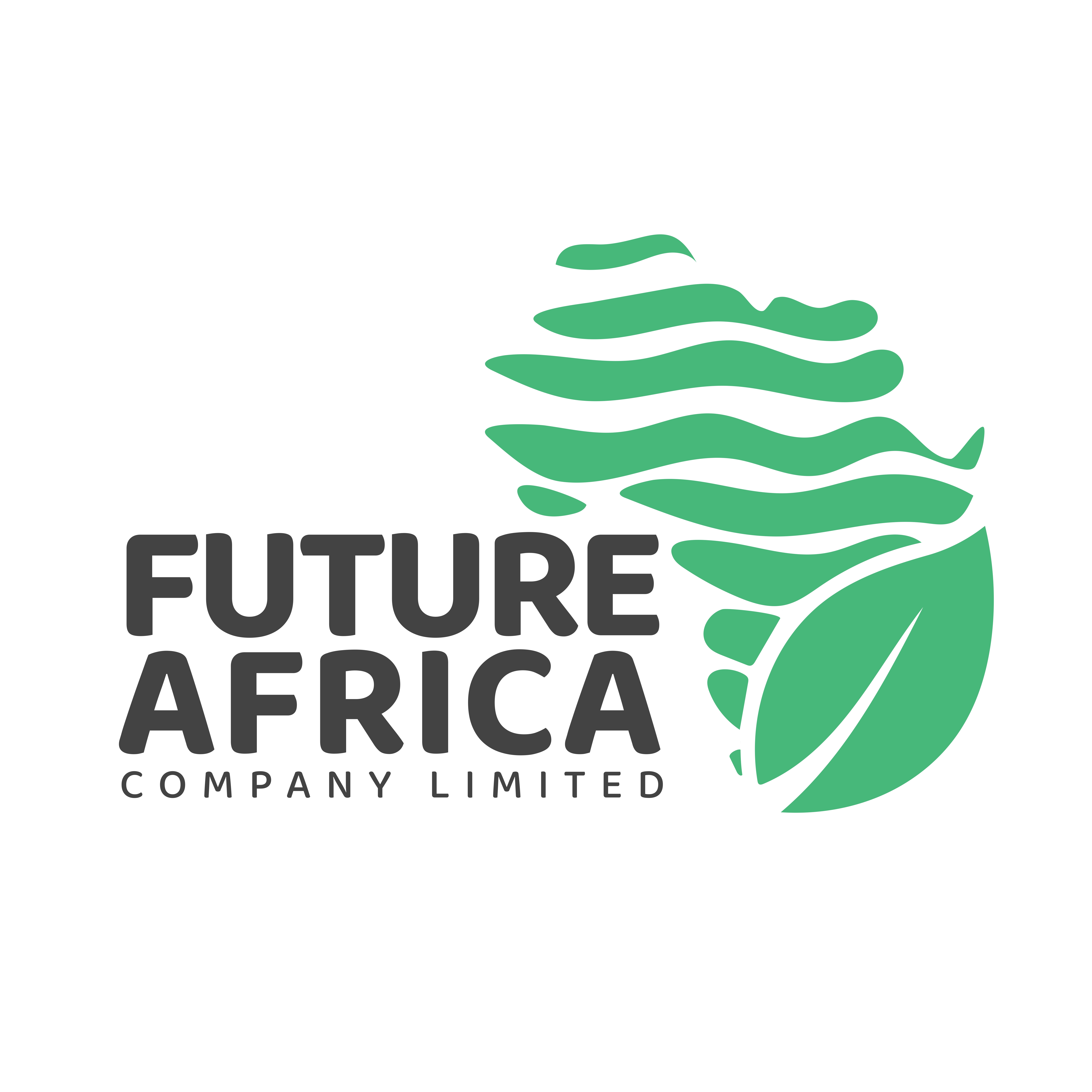 Future Africa Company Limited